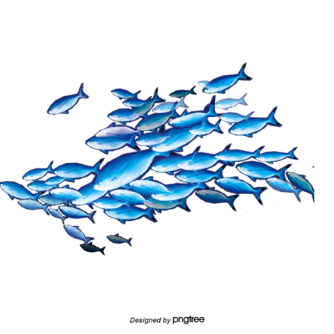 Vector watercolor fish  PNG Download