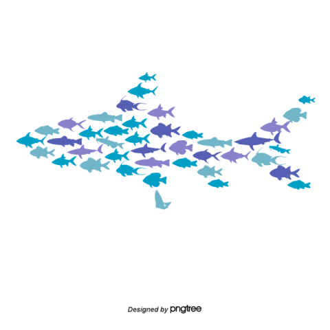 Blue fish group PNG Free Download