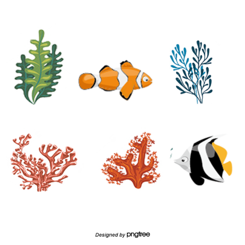 Colorful coral reef fish Free Download PNG