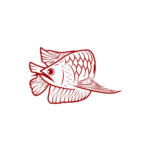Red arowana fish mono line PNG Download