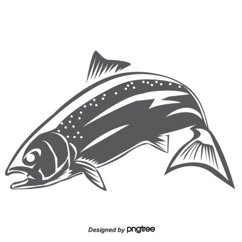 Fish illustration PNG Download
