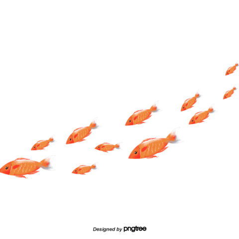 Cartoon orange fish PNG download