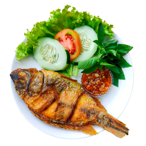 Fried fish with vegetables PNg Download Free