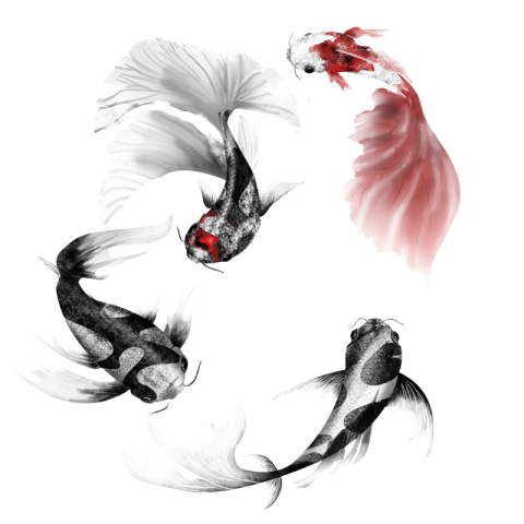 Black red spotted pattern koi PNG Free Download