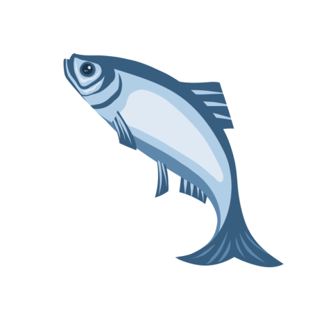 Herring marine fish animal cartoon PNG Free Download
