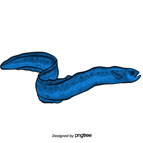 Cartoon fish eel PNG Free Download