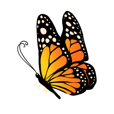 Insect monarch butterfly clipart cartoon Free download PNG