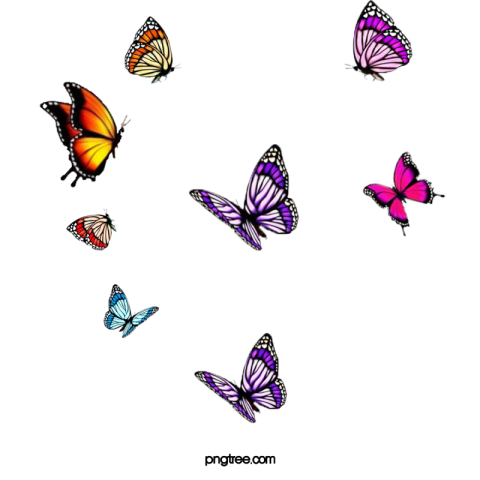 Purplish red colored butterflies swarm PNG free Download