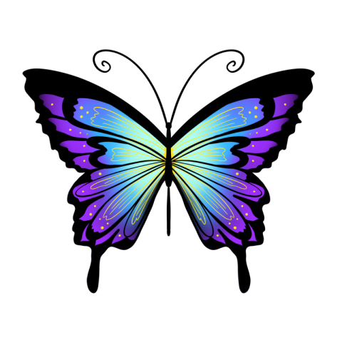 Gradient butterfly art decoration PNG Free Download