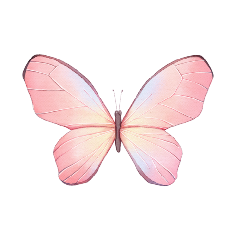 Watercolor blooming pink butterfly elegant PNG Download