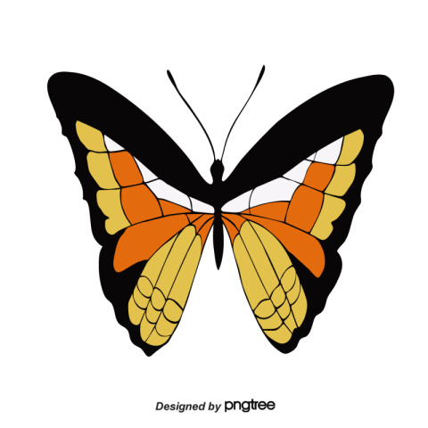 Butterfly clipart Free PNG Download
