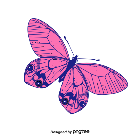 Pink butterfly clipart Free Download PNG