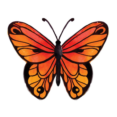 Beautiful Watercolor Butterfly
