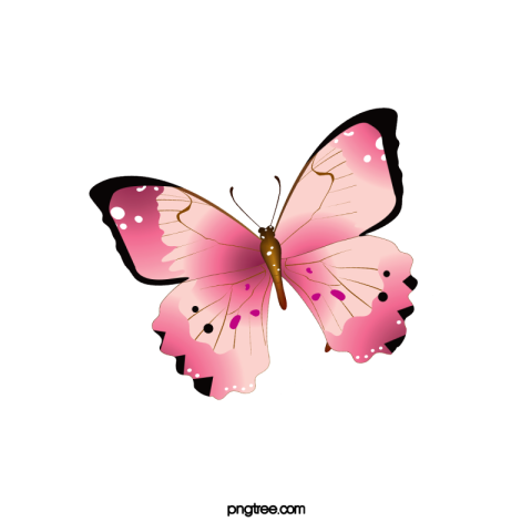 Butterfly Free Download PNG