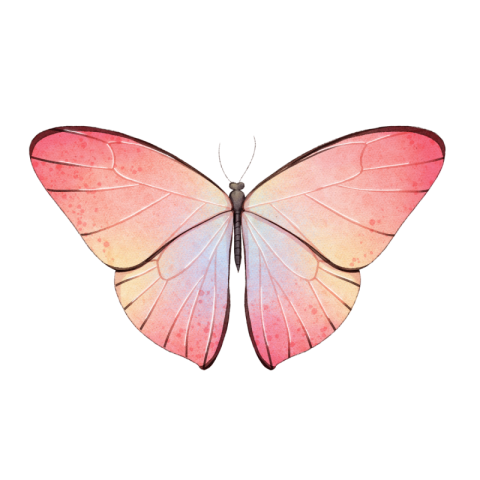 Watercolor blooming pink butterfly Free PNG Download