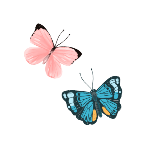 Colorful butterfly butterfly pink blue  PNG Pair Image