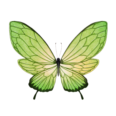 Butterfly watercolor blooming green butterfly PNG Free Download