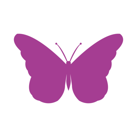 Butterfly icon PNG Free Download