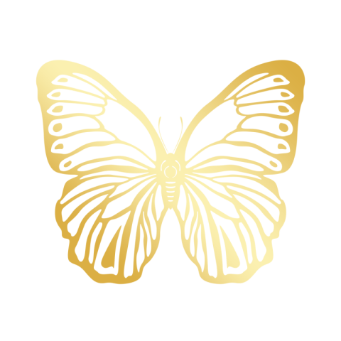 Irregular symmetrical gold butterfly line PNG Free Download