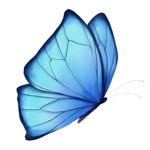 Watercolor blooming blue butterfly flying PNG Download