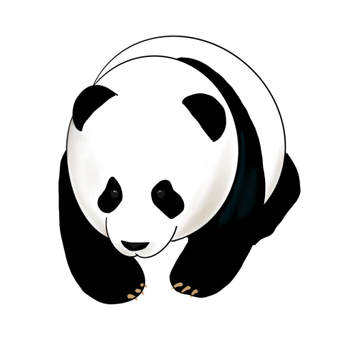 Hand painted cute style panda PNG Free Download