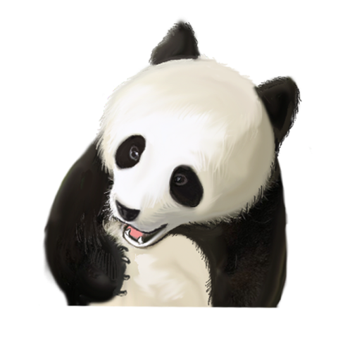 Lovely smile national treasure panda Free PNG Download