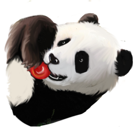Sugar eating giant panda playing elements PNG Free Download