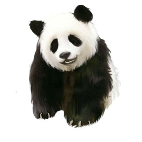 Cute hand painted giant panda elements PNG Download