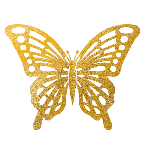 Abstract gold powder glitter butterfly PNG Free Download