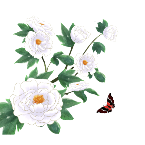 White flower green leaf butterfly PNG Free Download