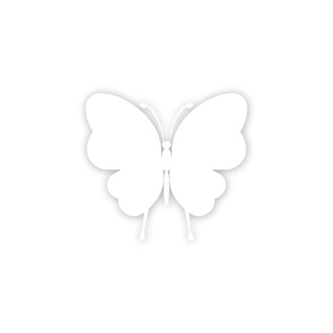 White butterfly vector design PNG Free Download