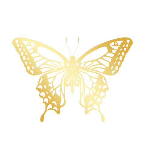 Irregular gold brightened draft butterfly Free PNG Download