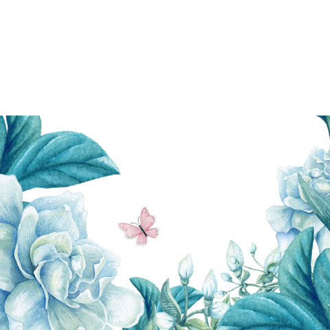 Beautiful flowers flowers background flowers PNG Free Download