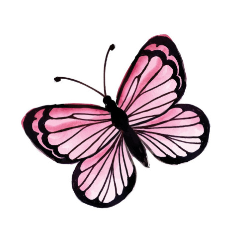 Beautiful Watercolor Butterfly