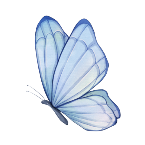 Watercolor blooming light blue butterfly PNG Free Download