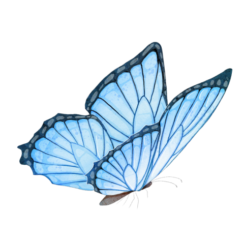 Butterfly watercolor blooming blue butterfly PNG Free Download
