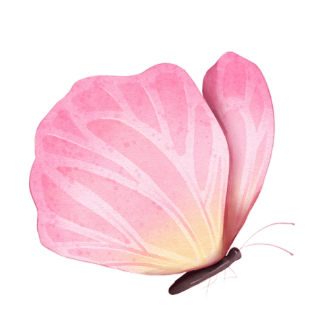 Watercolor blooming butterfly pink PNG Free Download