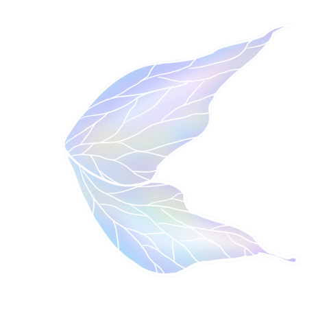 Bird feathers simple fantasy butterfly PNG Free Download