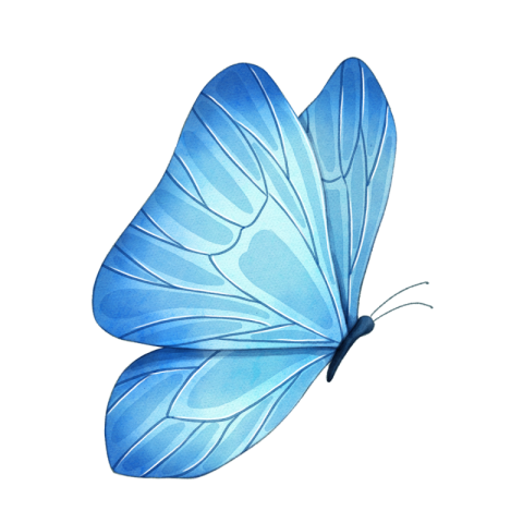 Watercolor blue beautiful butterfly PNG Free Download