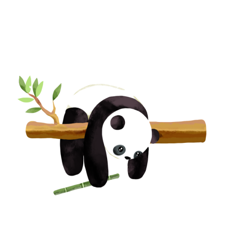 Branch cartoon animal panda PNG Free Download