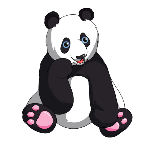 Hand drawn cute panda clipart PNG  Free Download