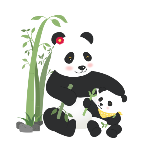 Bamboo forest background two panda PNG Free Download