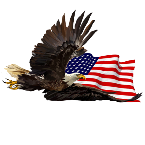 American flag american eagle american PNG Free Download