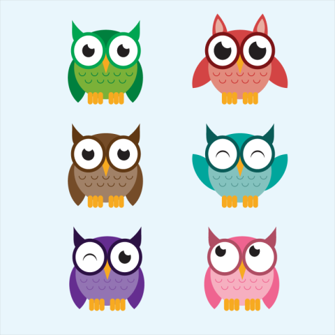 Cute owl cartoon set Free PNG Download