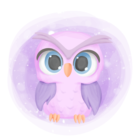 Baby owl cute portrait cartoon PNG Free Download