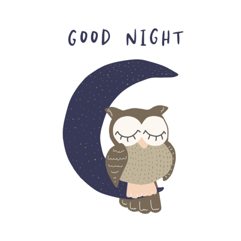 Owl good night PNG Free Download