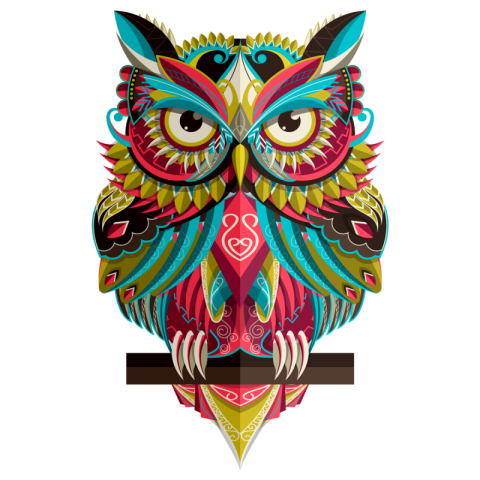 Owl vector PNG Free Download