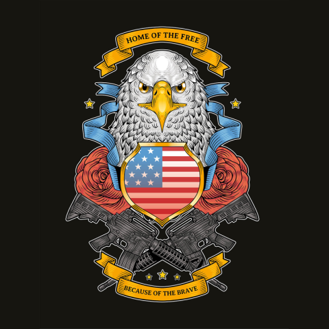 America eagle and usa badge PNG Free Download