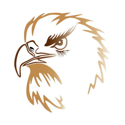 Eagle head against a white PNG Free Download