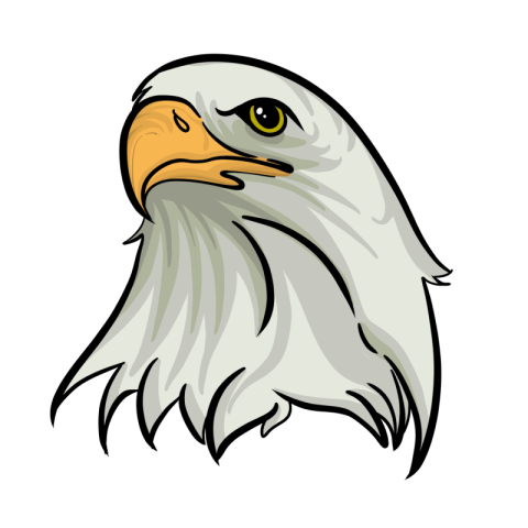 Goshawk eagle head clip art PNG Free Download